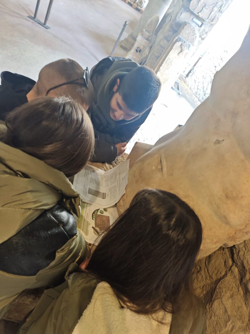 WhatsApp Image 2026-01-13 at 10.19.28