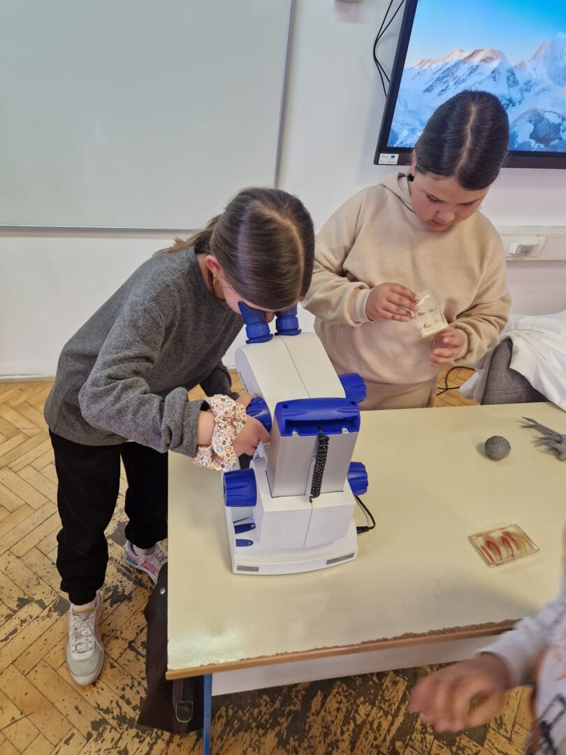 WhatsApp Image 2026-03-18 at 09.49.52 (2)