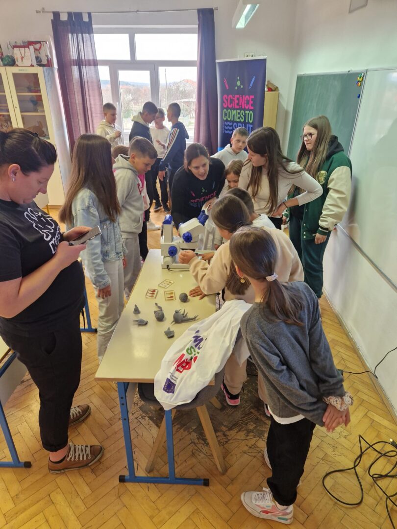 WhatsApp Image 2026-03-18 at 09.49.52