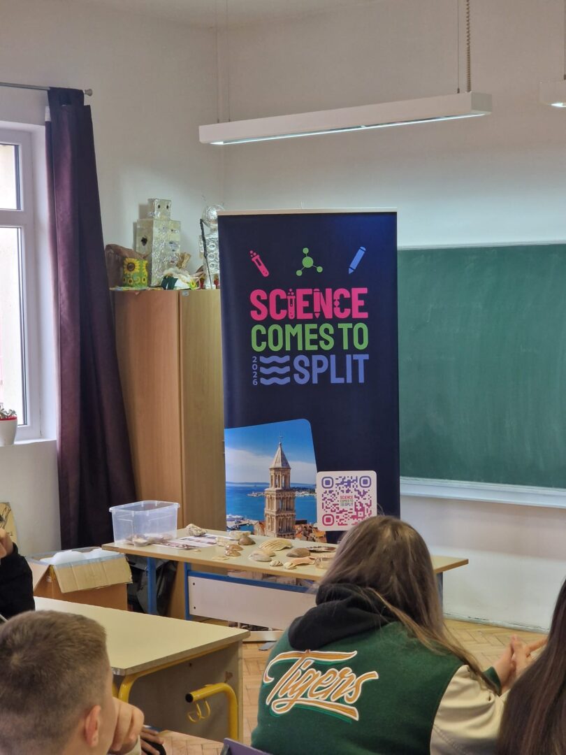 WhatsApp Image 2026-03-18 at 09.49.55 (1)